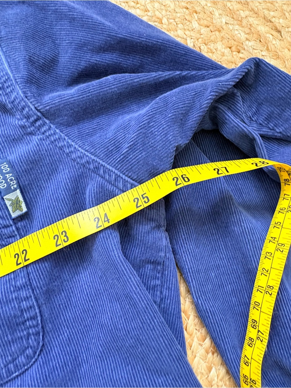 Disney Navy Blue Button-Down Shirt with Winnie the Pooh & Tigger Embroidery - Picture 8 of 9
